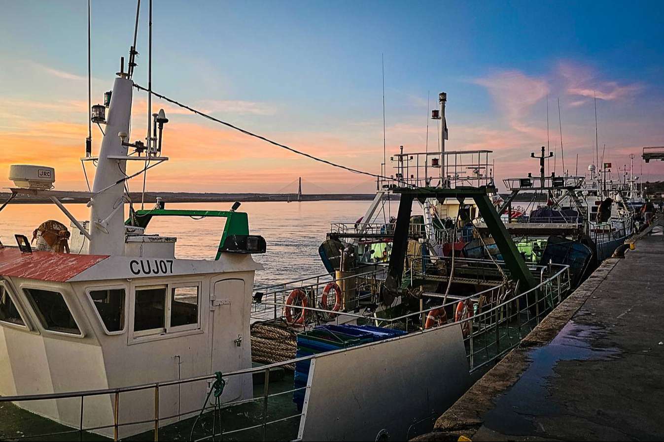 Lonja de Ayamonte, venta de pescado y marisco fresco a toda España