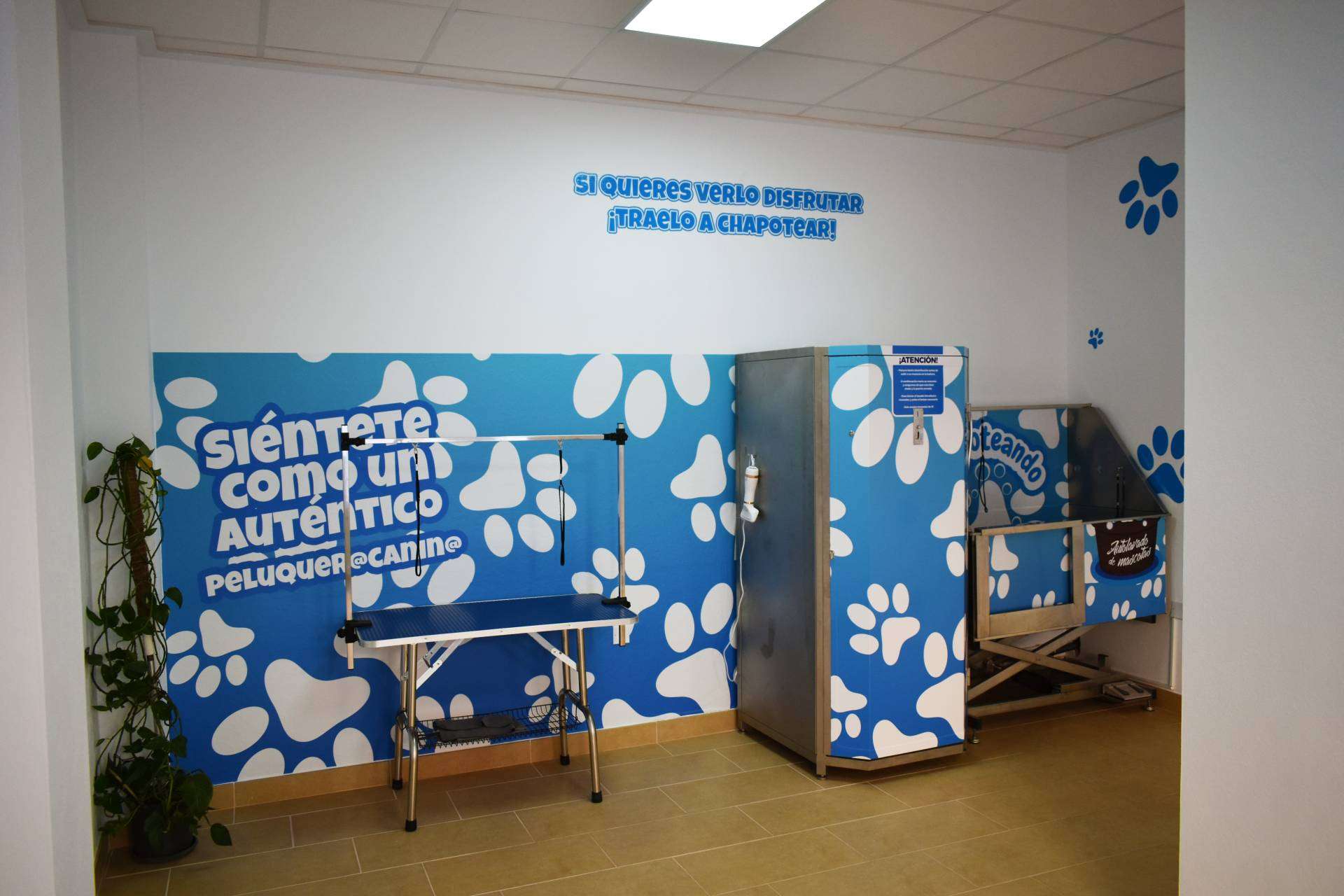 Las ventajas de las franquicias de peluquería canina de Chapoteando