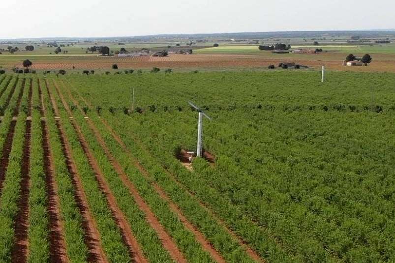 Combatir las heladas con la excelente solución que ofrece una empresa española
