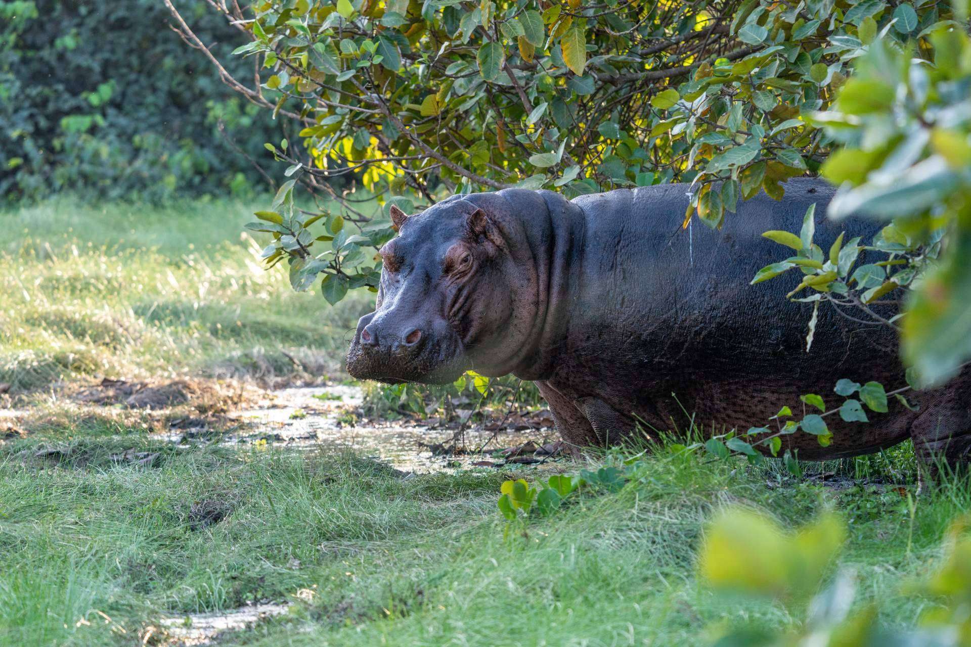 TheAfrican Experiences y la majestuosidad del Archipiélago de Bijagós en Guinea Bissau