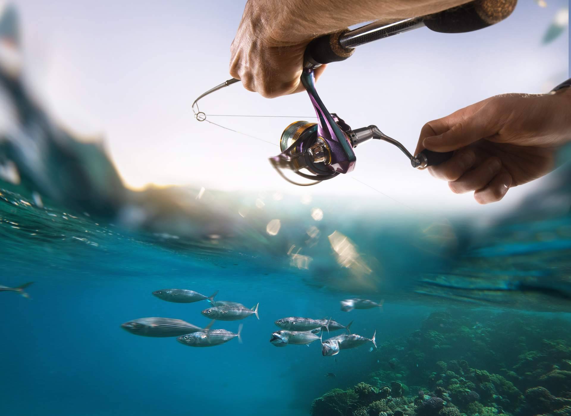 Pescamar ofrece algunos consejos para la temporada de pesca de atún 2024