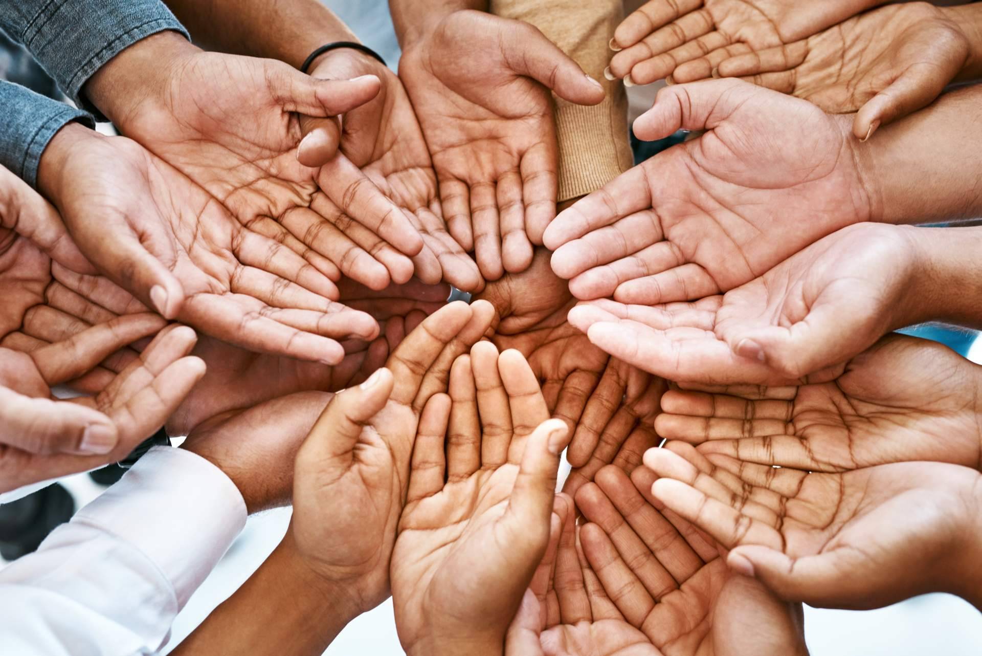 Volungo, red social solidaria que conecta personas altruistas con entidades filantrópicas