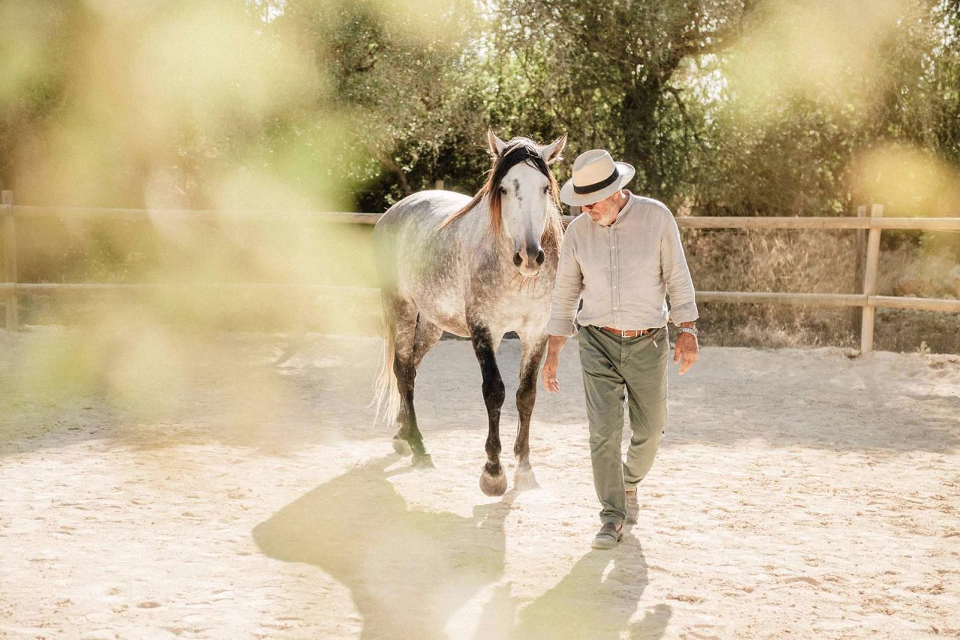 Son Cavalls pone a disposición coaching asistido con caballos para empresas