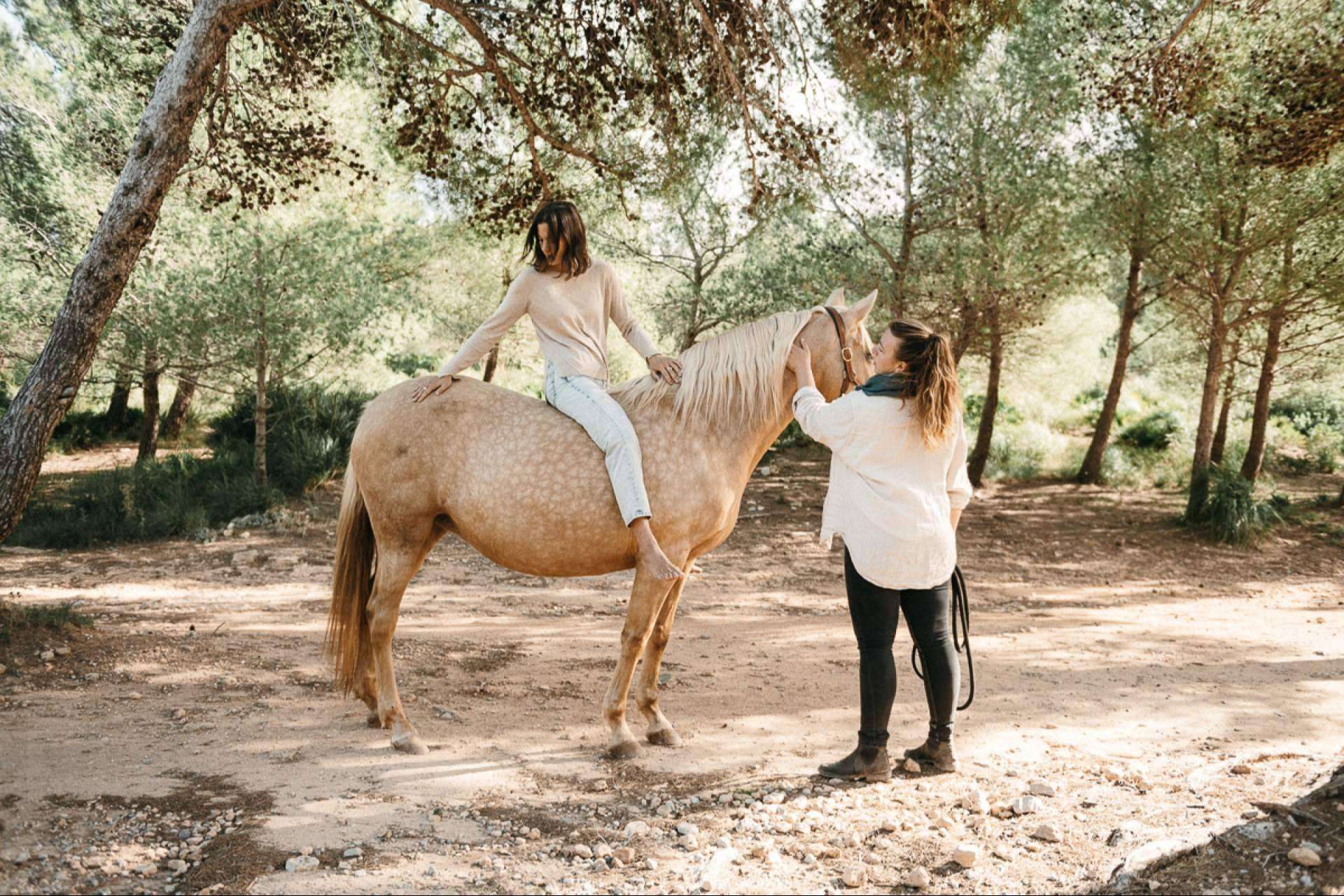 Coaching asistido de caballos para personas individuales con Son Cavalls