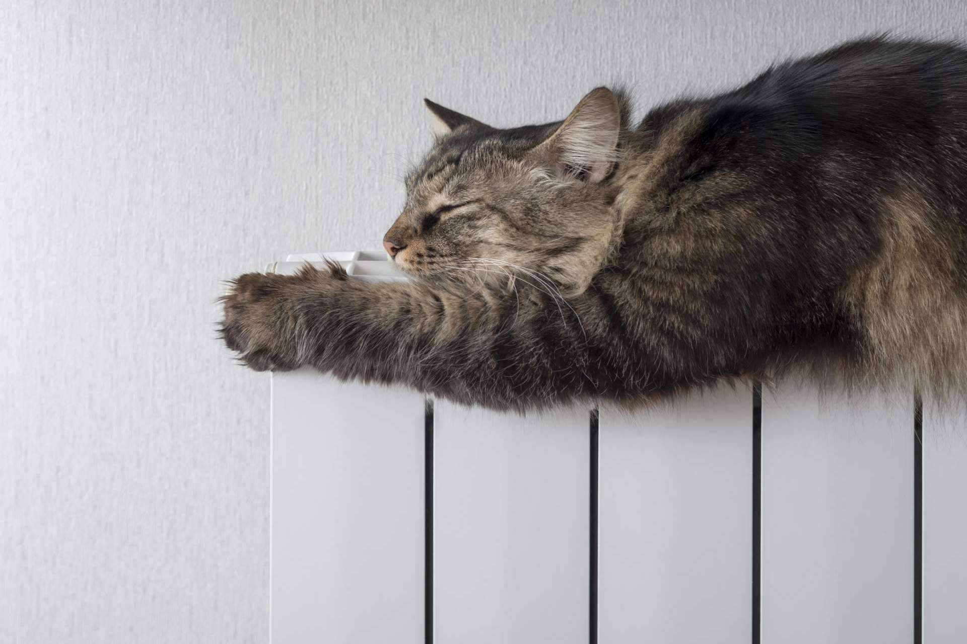 Cuáles son los calefactores que menor consumo eléctrico tienen