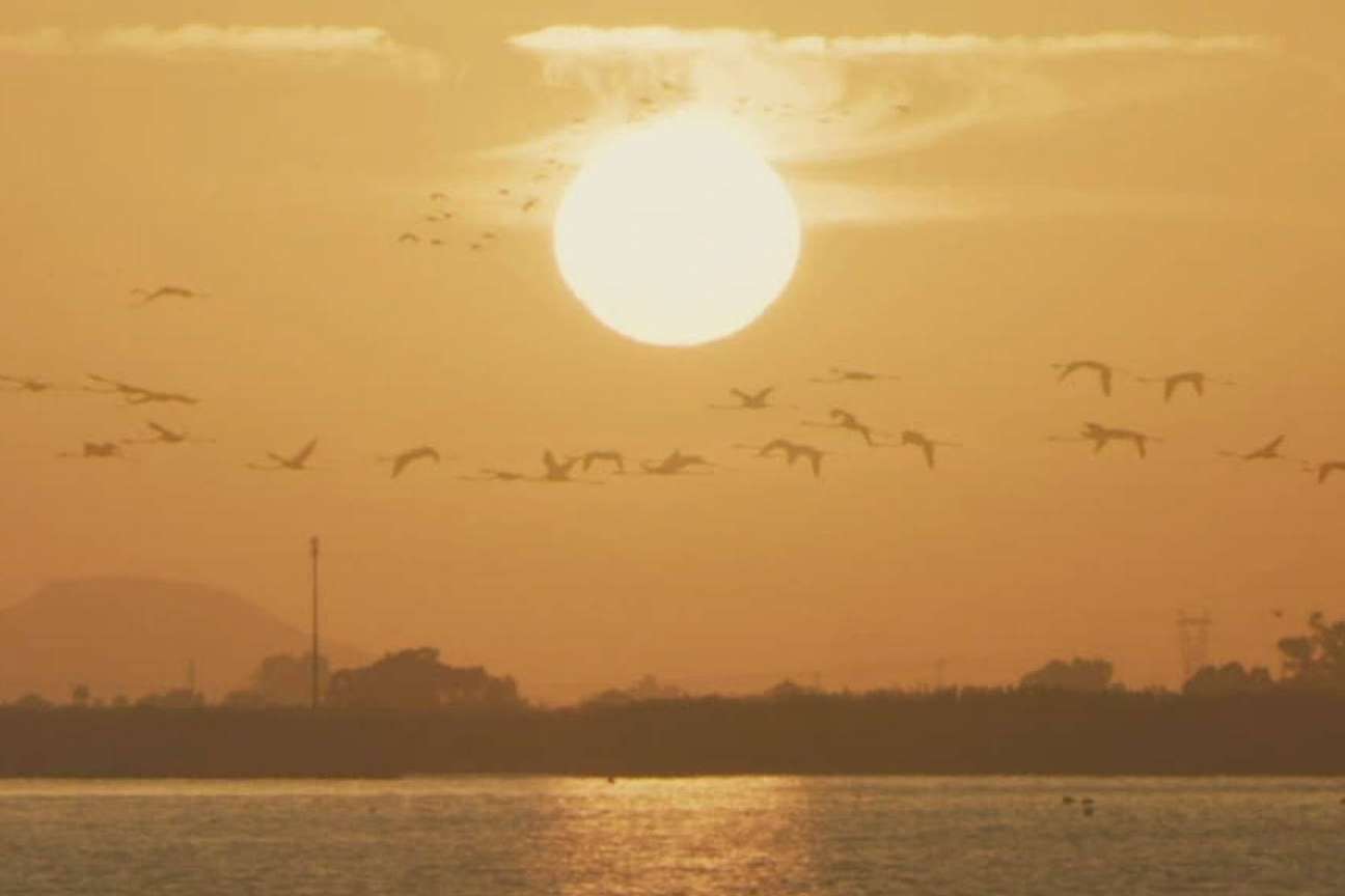 La sal marina producida en las salinas de Santa Pola que cuenta con sello ecológico y es ejemplo de sostenibilidad