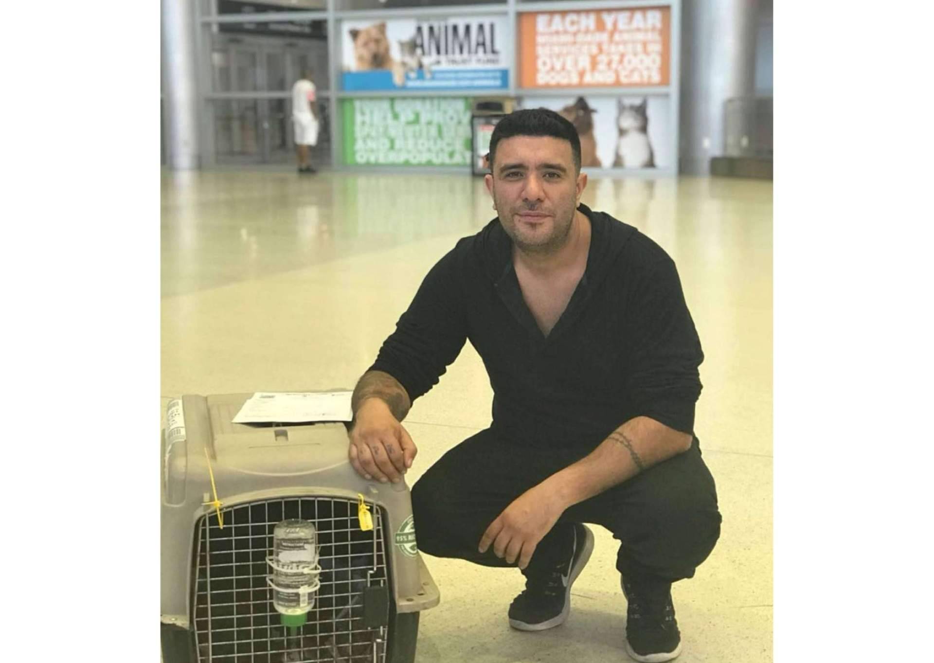 Pet World Travel, una excelente solución en el transporte de mascotas a nivel nacional e internacional