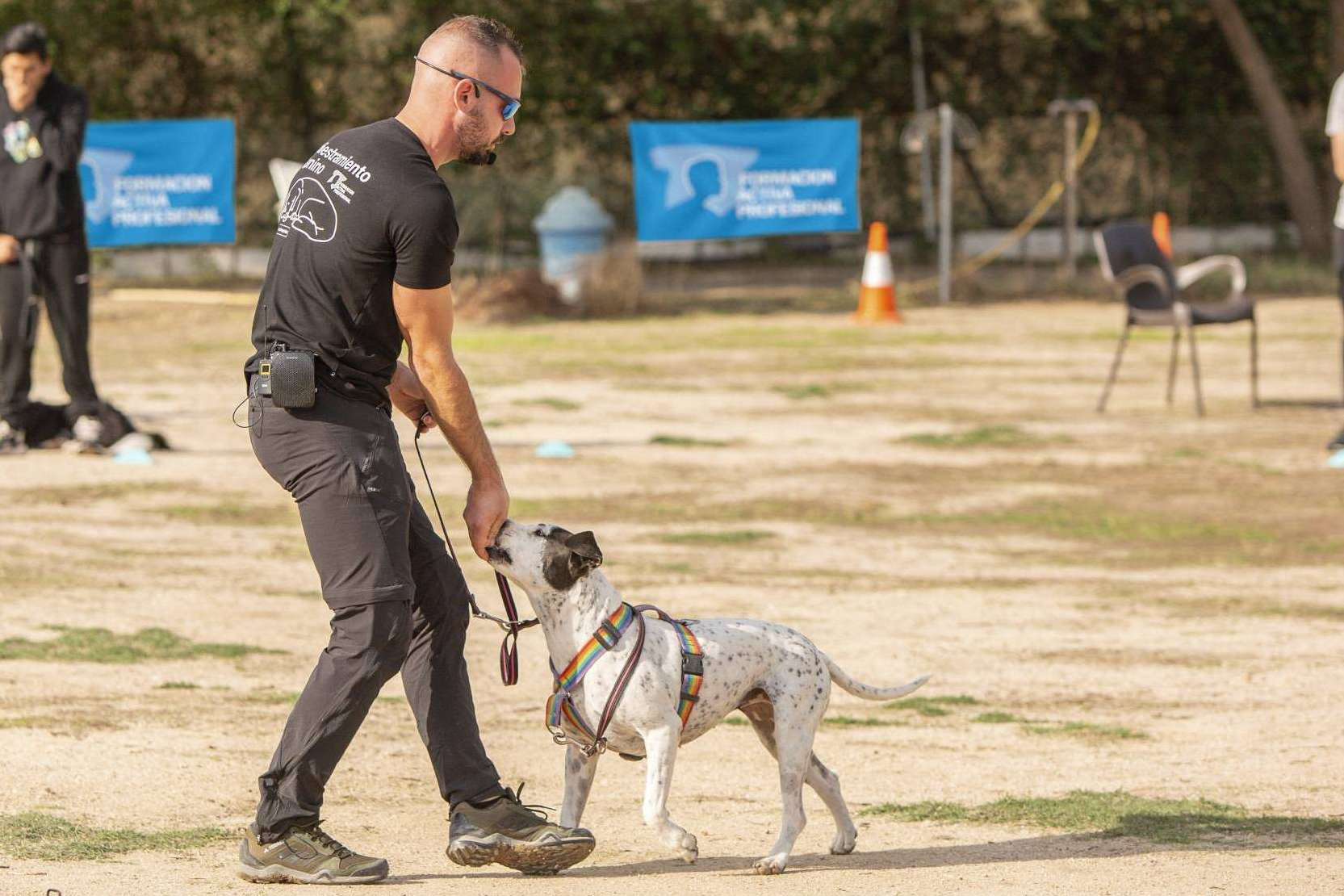Las principales razones por las que cada vez más personas buscan convertirse en expertos caninos