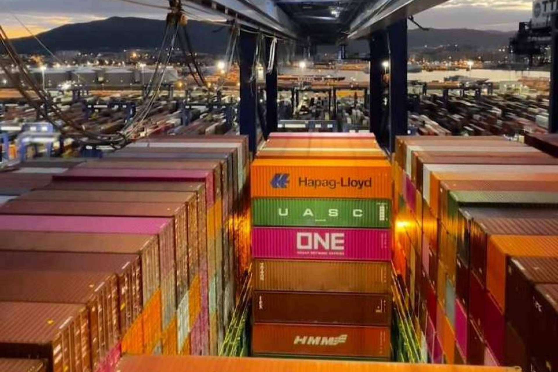 Marterra Transitaria se encarga de cada paso en la importación de cítricos