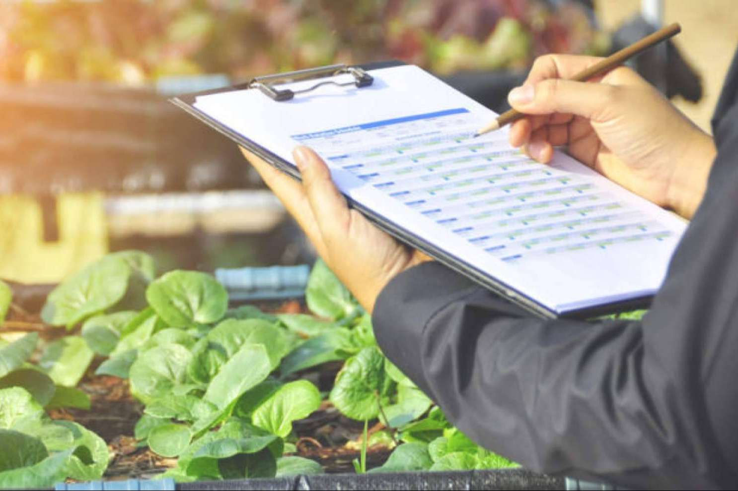 QualitApp, una plataforma tecnológica de Locatec para transformar el sector agroalimentario