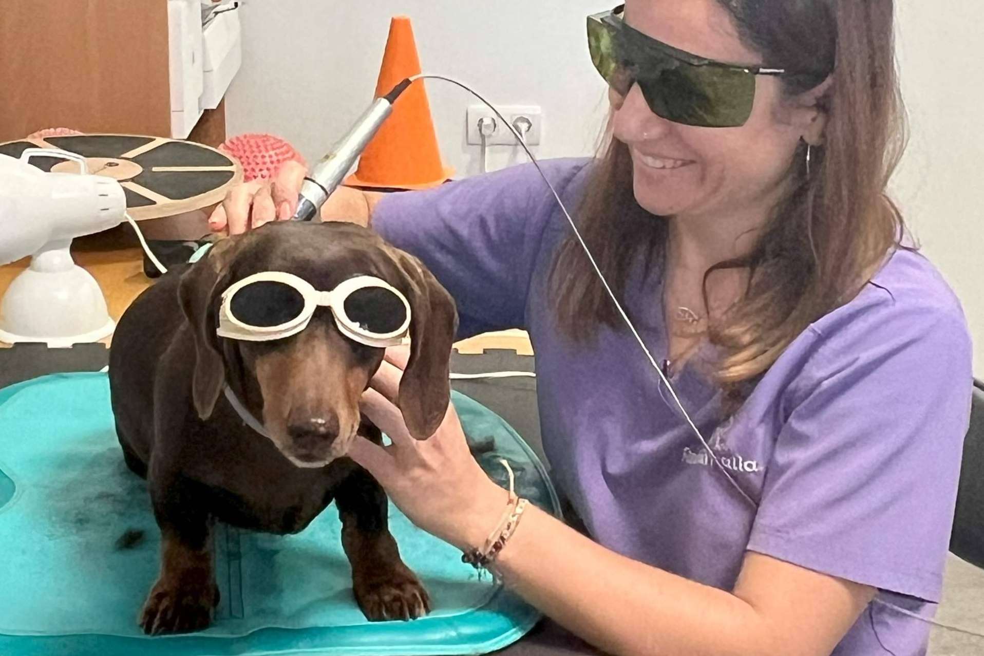 Reanimalia, centro de referencia en rehabilitación y fisioterapia veterinaria con laserterapia tipo IV