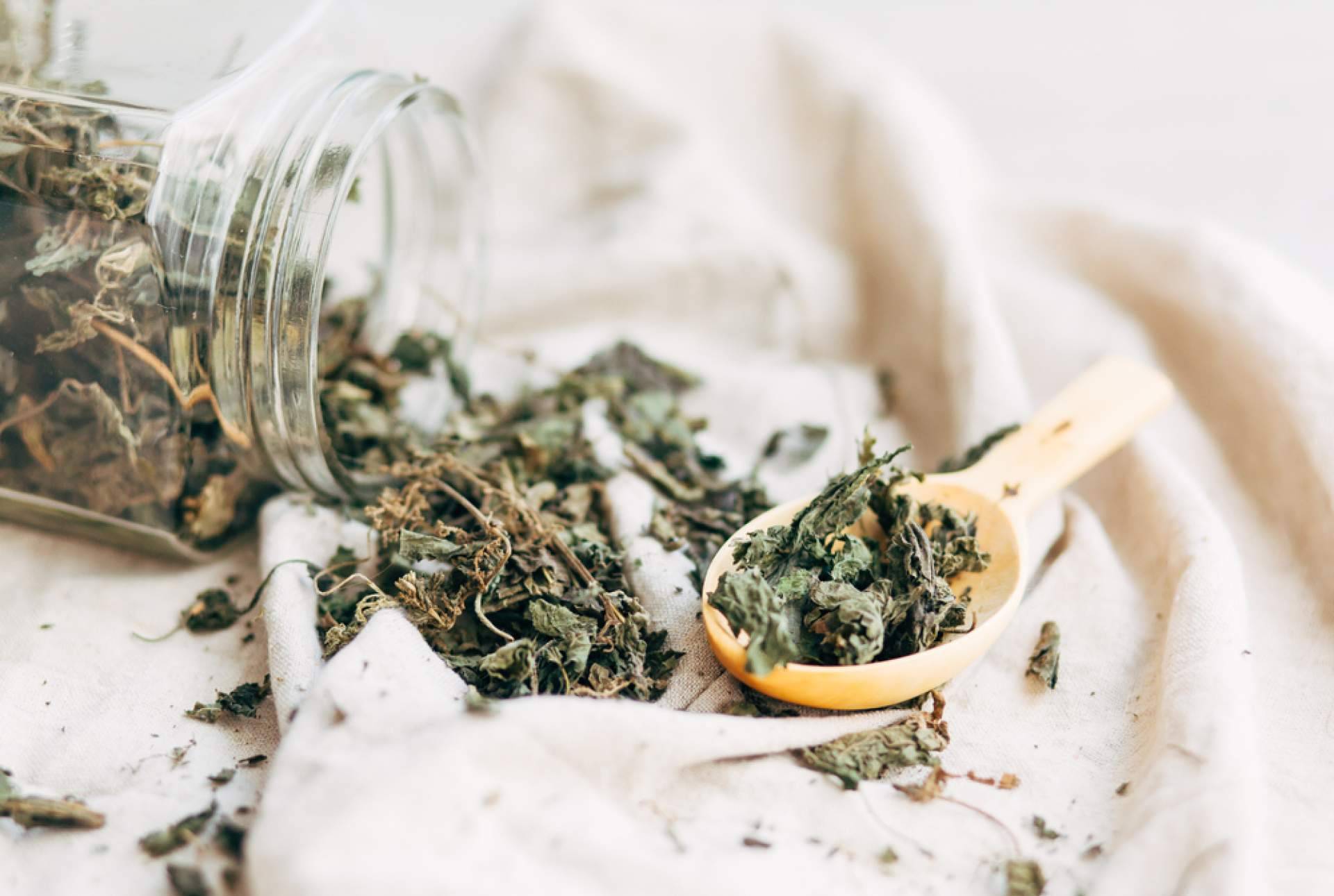 La infusión de ortiga ecológica de Sientea que aporta energía y buenas vibras, WOW