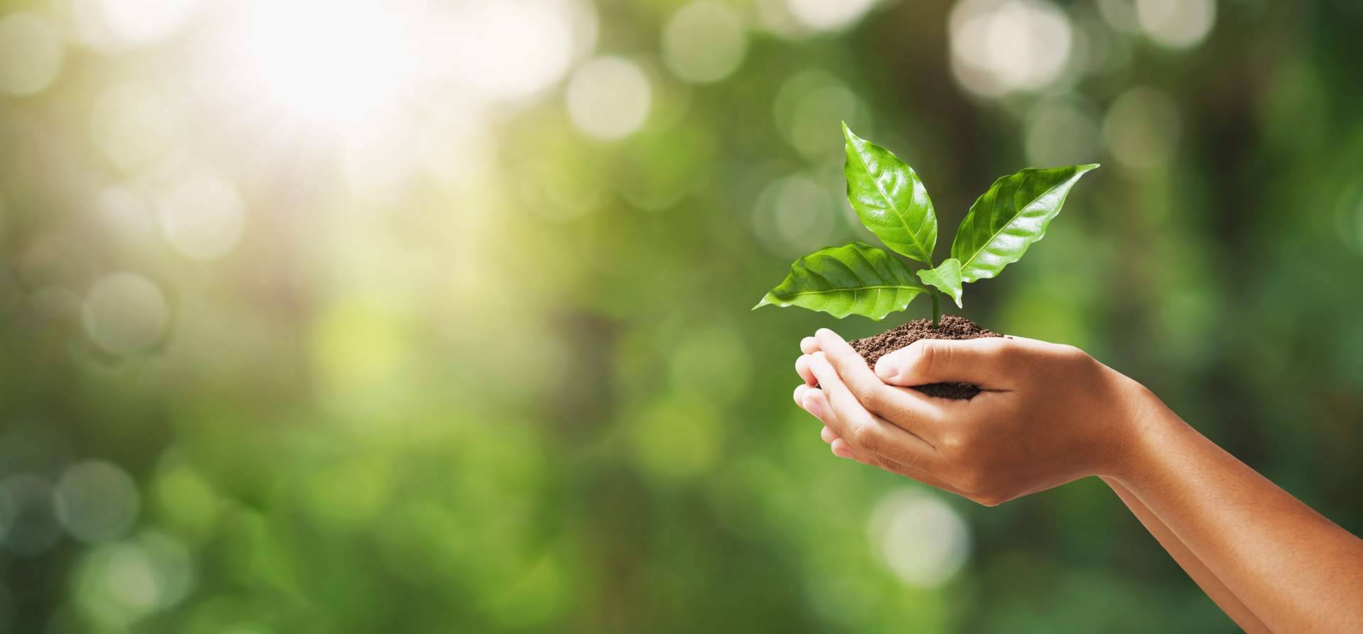 Multienergía Verde apuesta por la ecoeficiencia