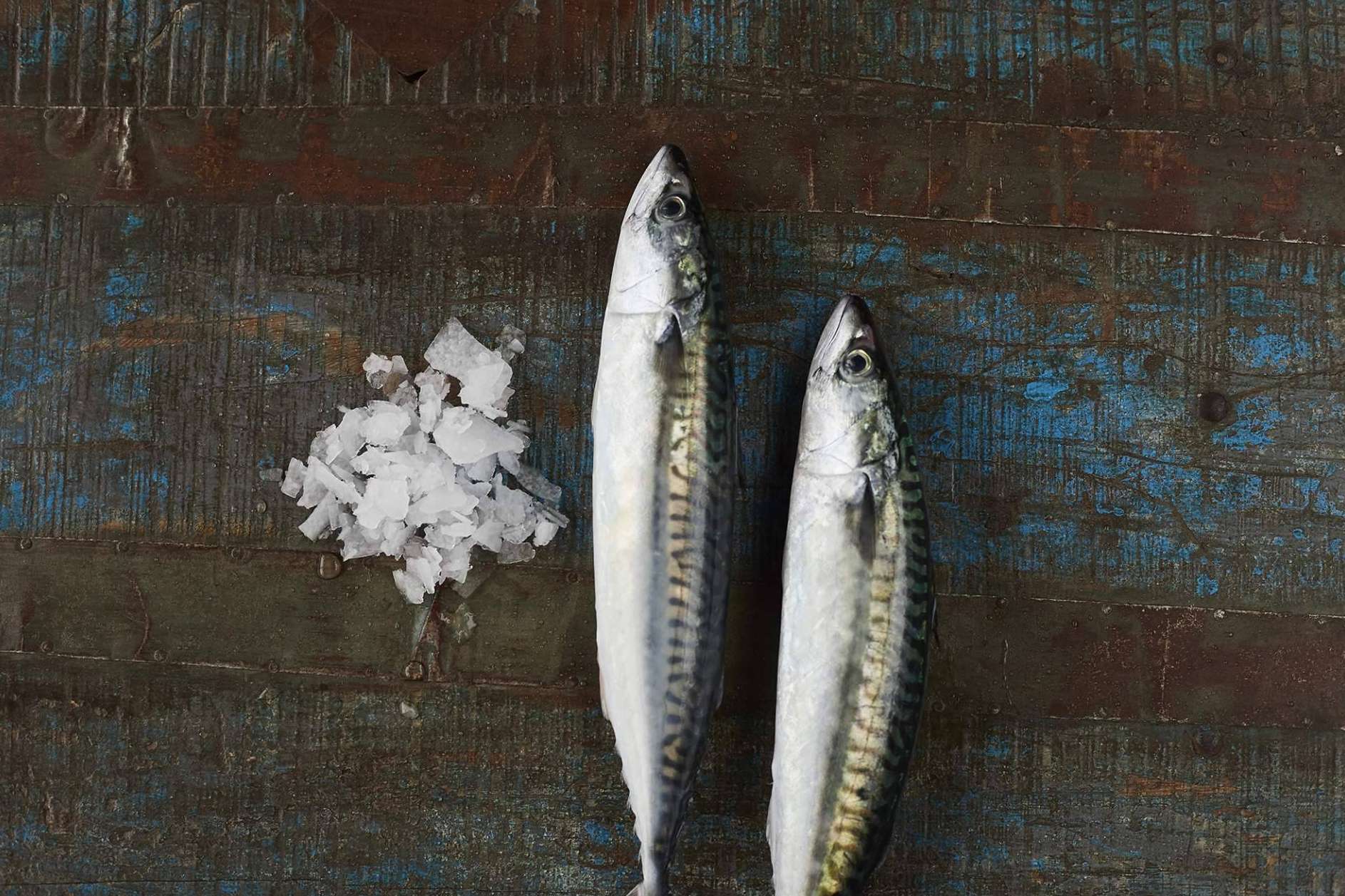 SINESCAMA ofrece la posibilidad de disfrutar del pescado y marisco gallego en cualquier parte de la Península