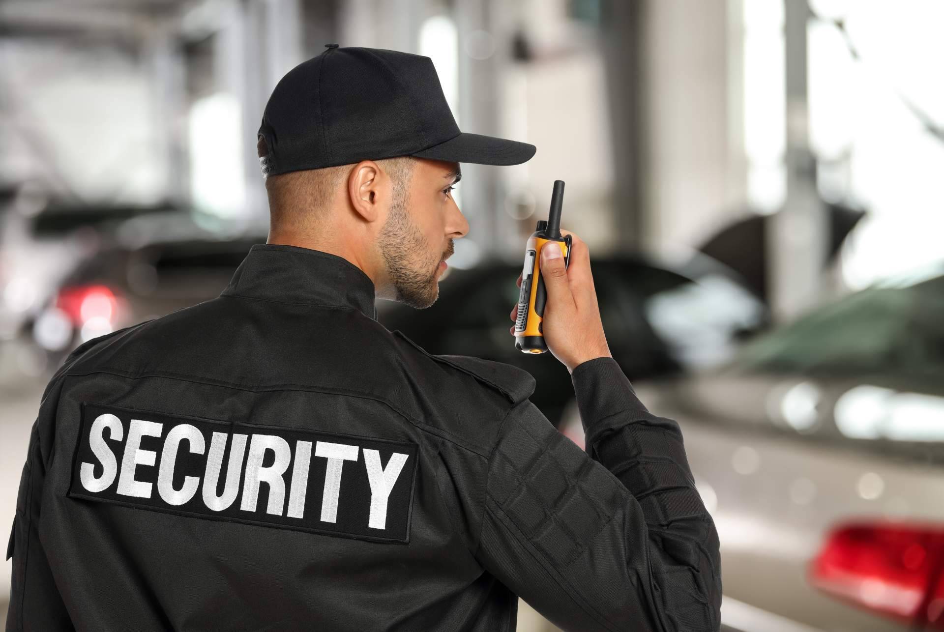 Profesionalización en la seguridad privada