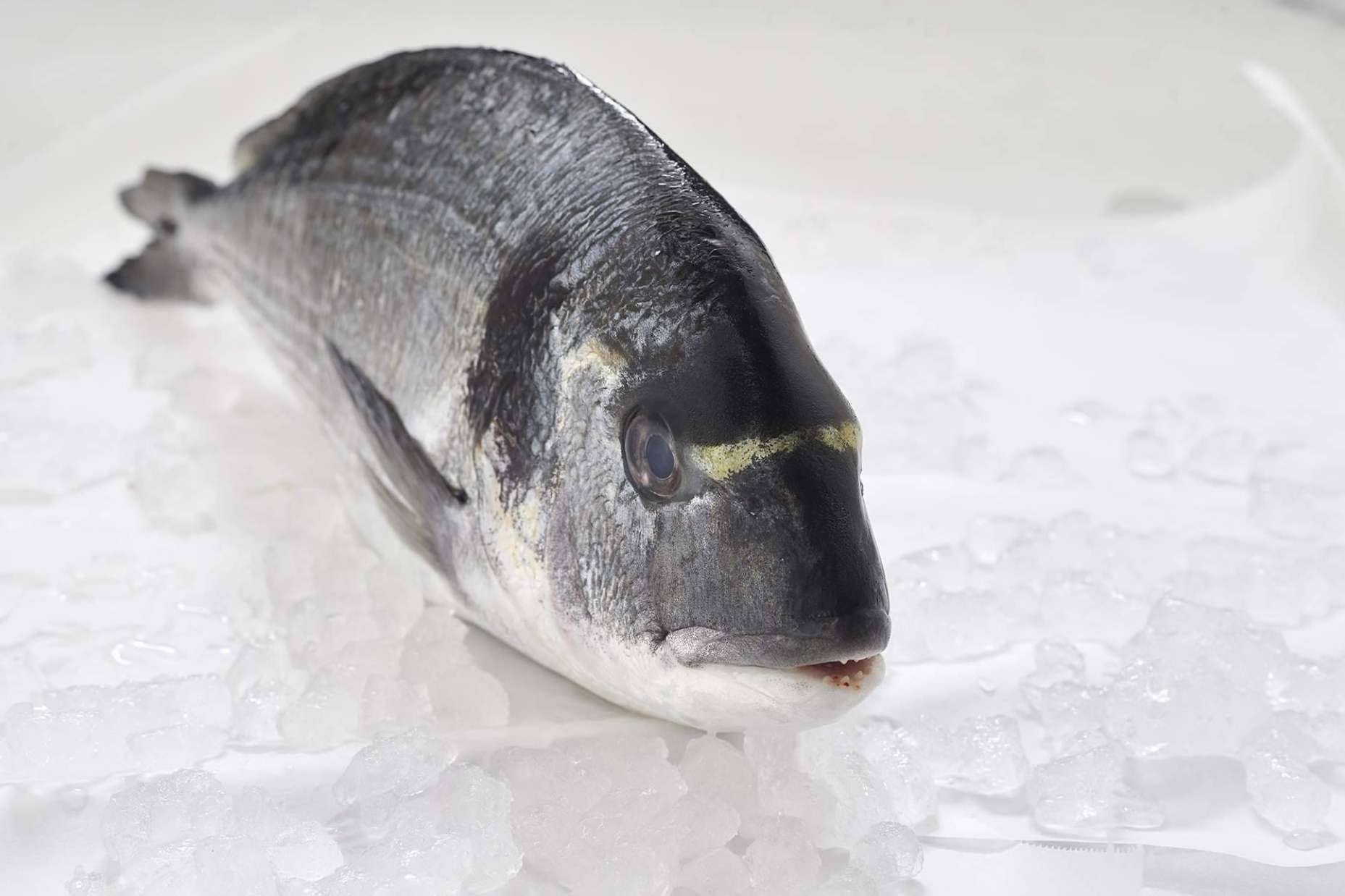 El pescado blanco, una de las mejores elecciones para volver a la rutina saludable tras las vacaciones