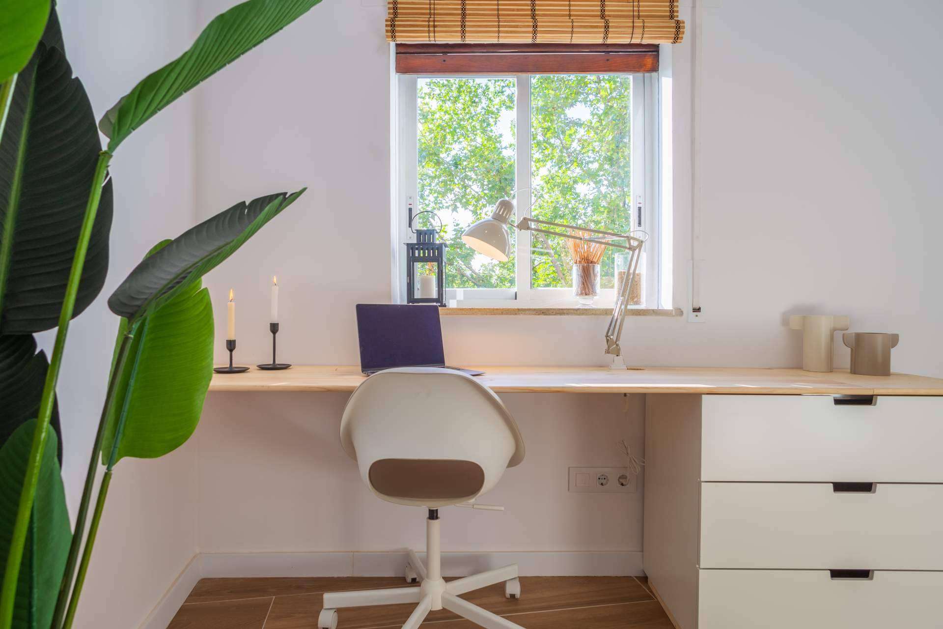 Haaus® Coliving, una opción de alquiler de habitaciones ideal para digital nomads, estudiantes y mid-term travelers