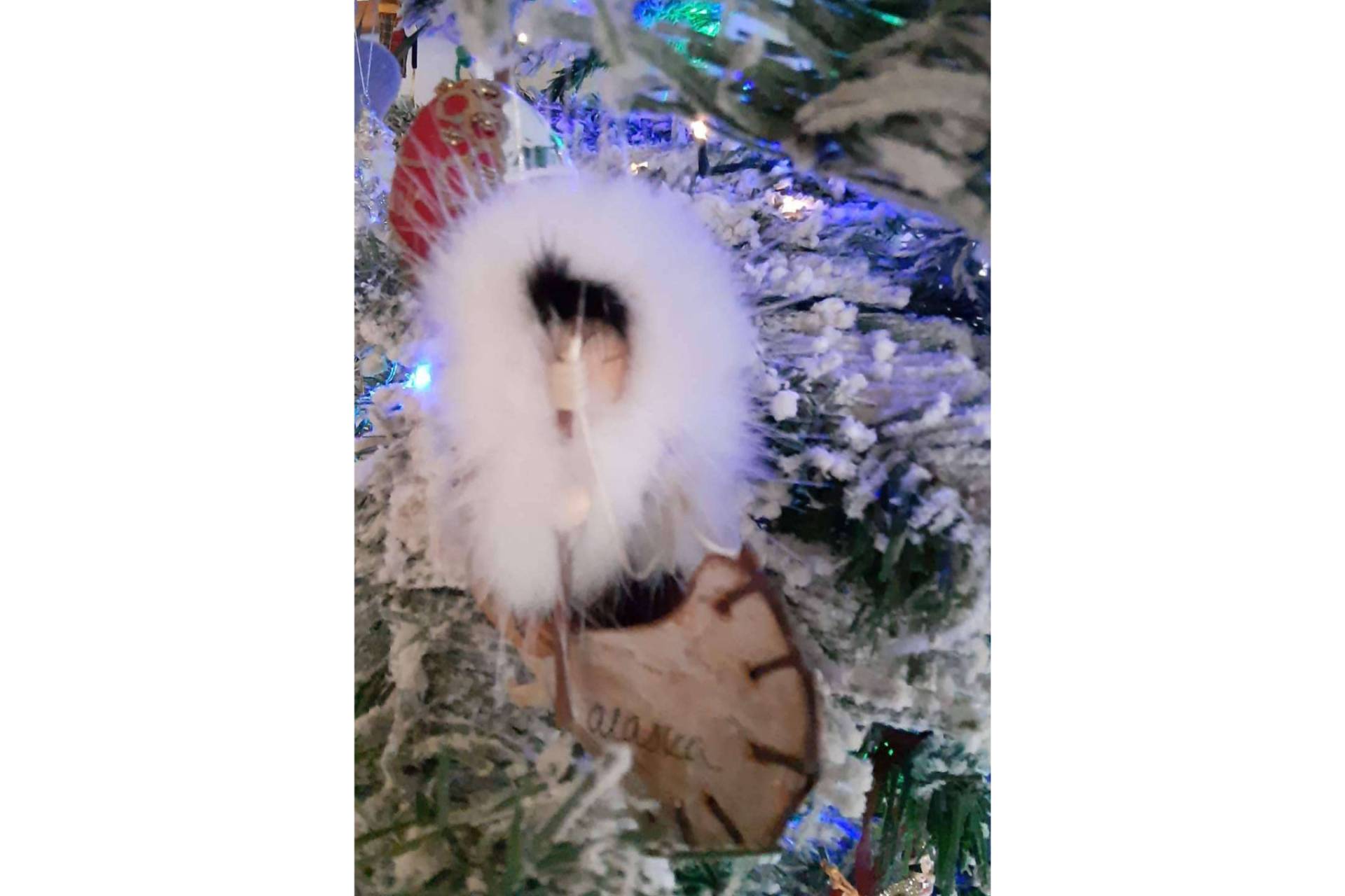 Navidad y cuentos, xmastreefriends quiere reunir a niños y niñas amigos del árbol navideño
