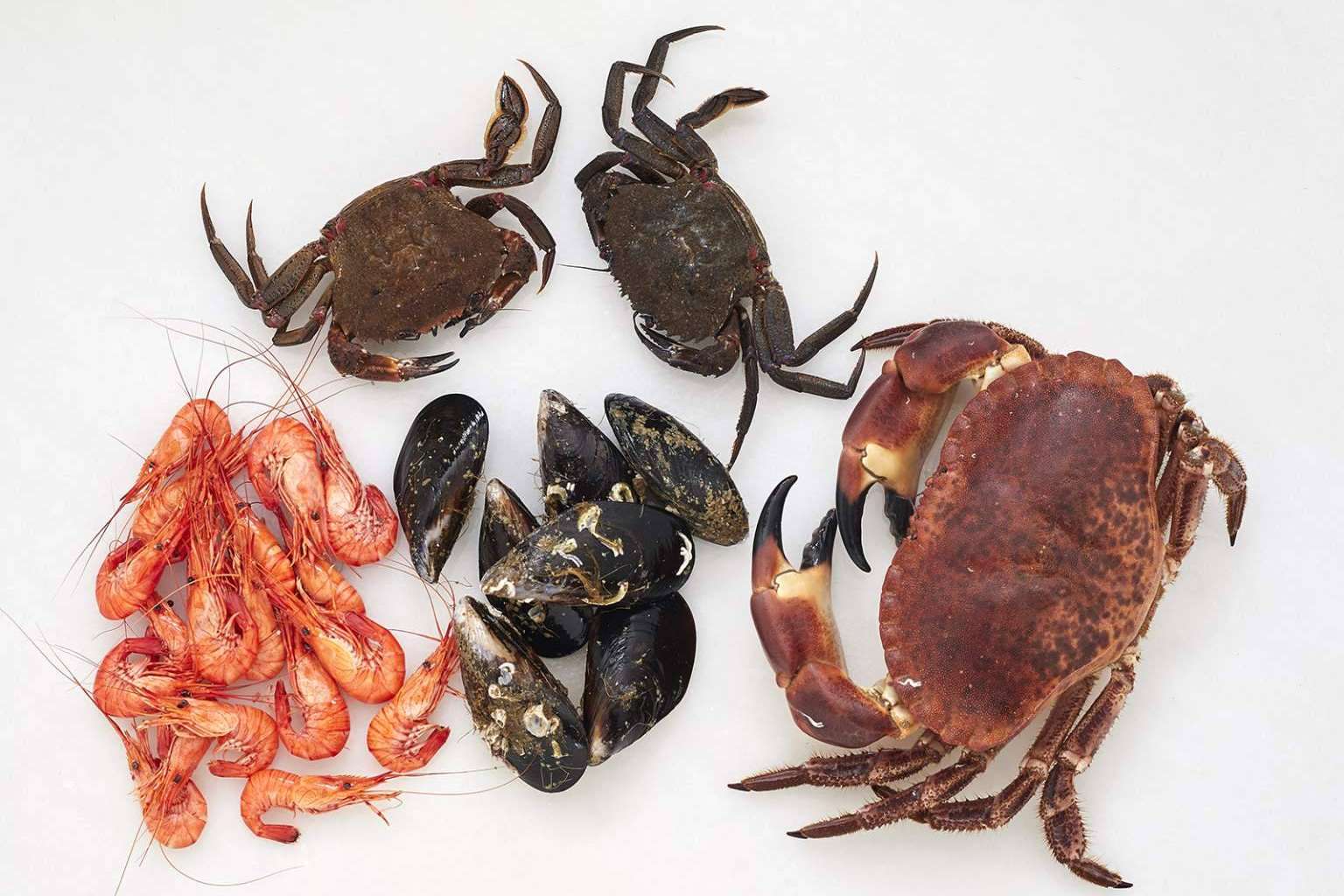 Marisco en Navidad, consejos útiles para anticipar la compra y conservación