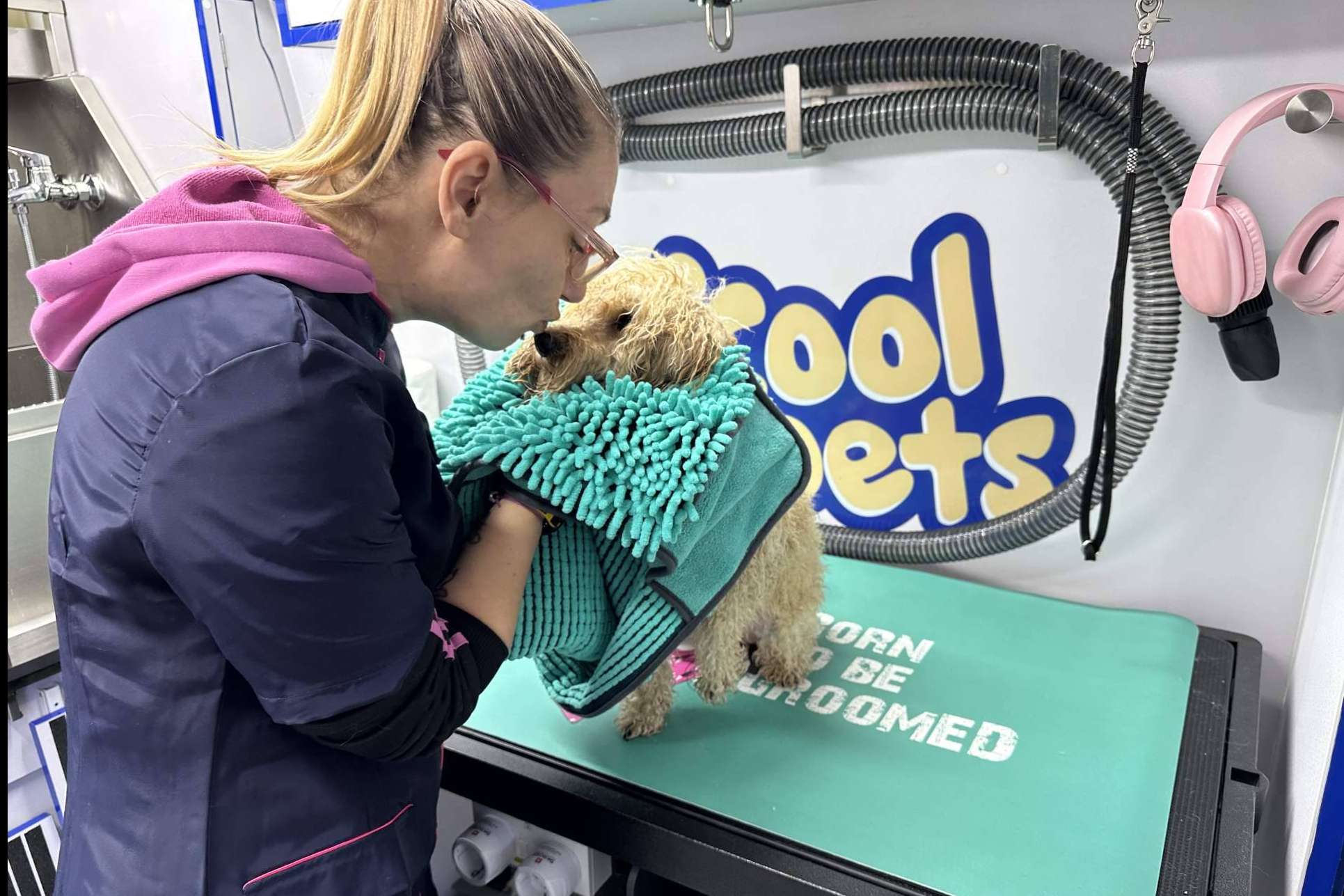 Cool Pets presenta su innovador servicio de peluquería móvil a domicilio para mascotas