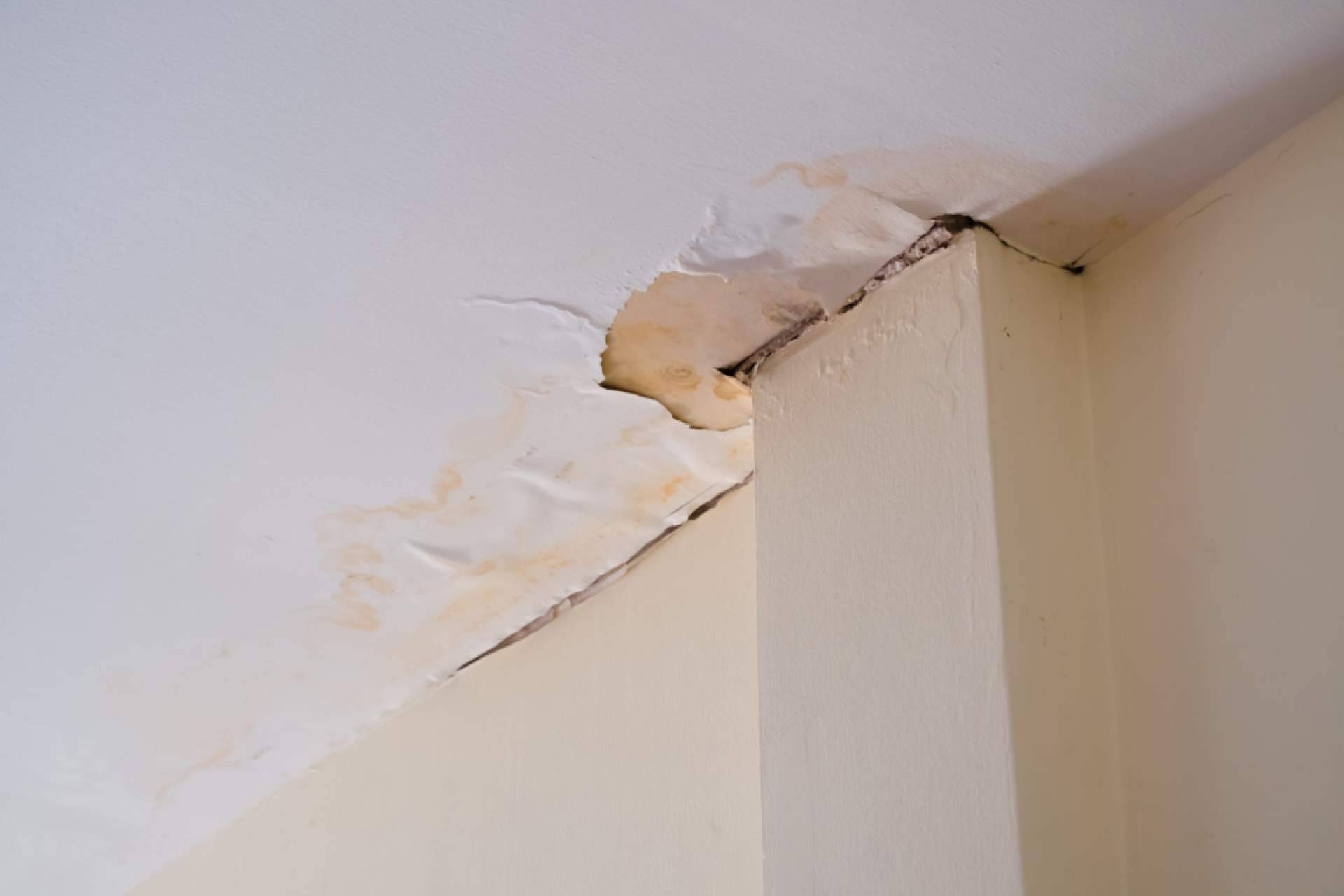 La tecnología de ClauniCanarias refuerza la protección permanente contra la humedad en viviendas