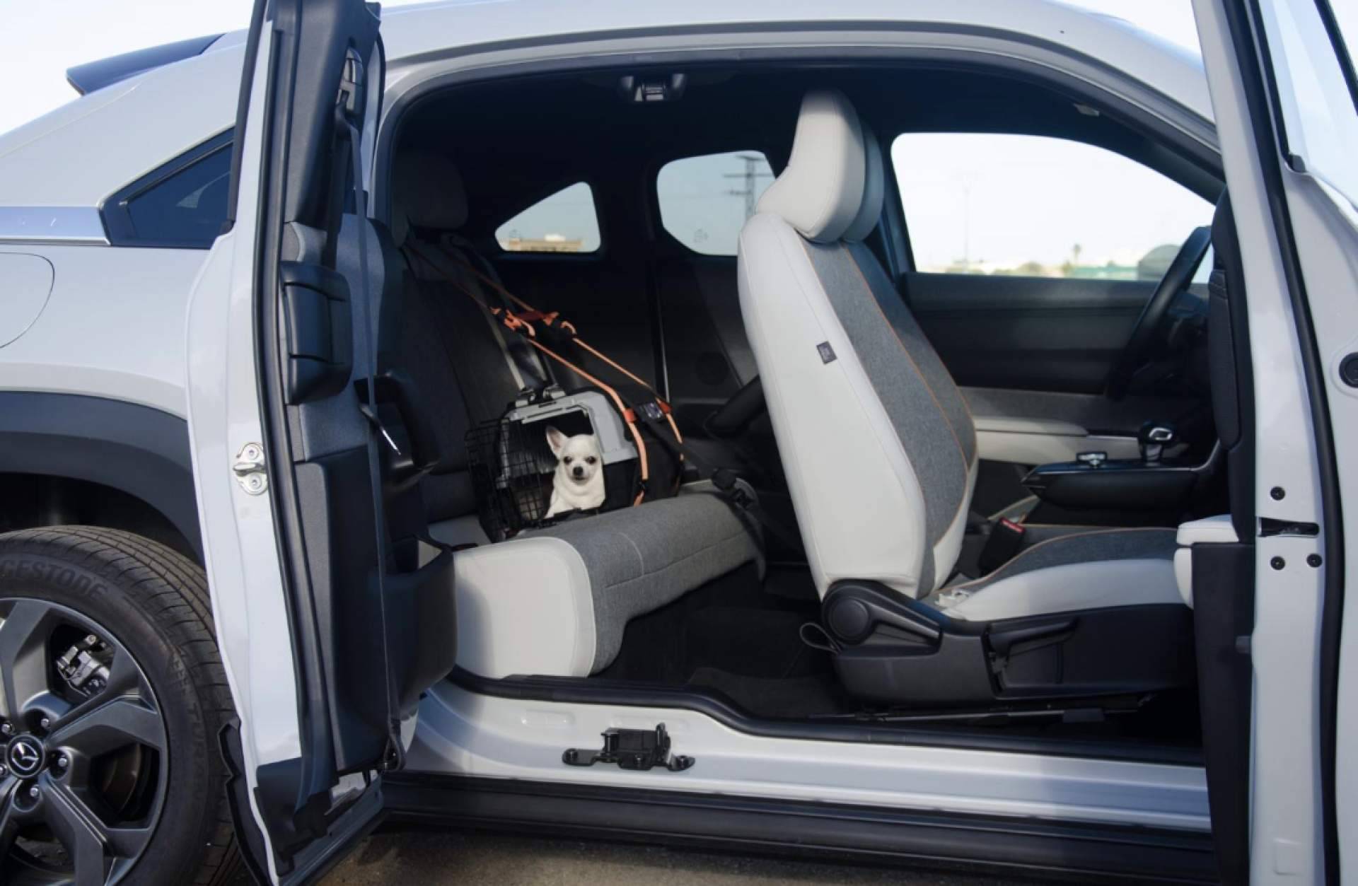 El transportín rígido; la opción más segura para un perro en caso de accidente de coche