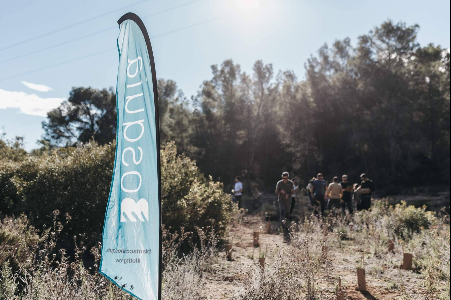 Bosquia impulsa la recuperación ambiental con un proyecto de reforestación en el Parque Natural del Turia