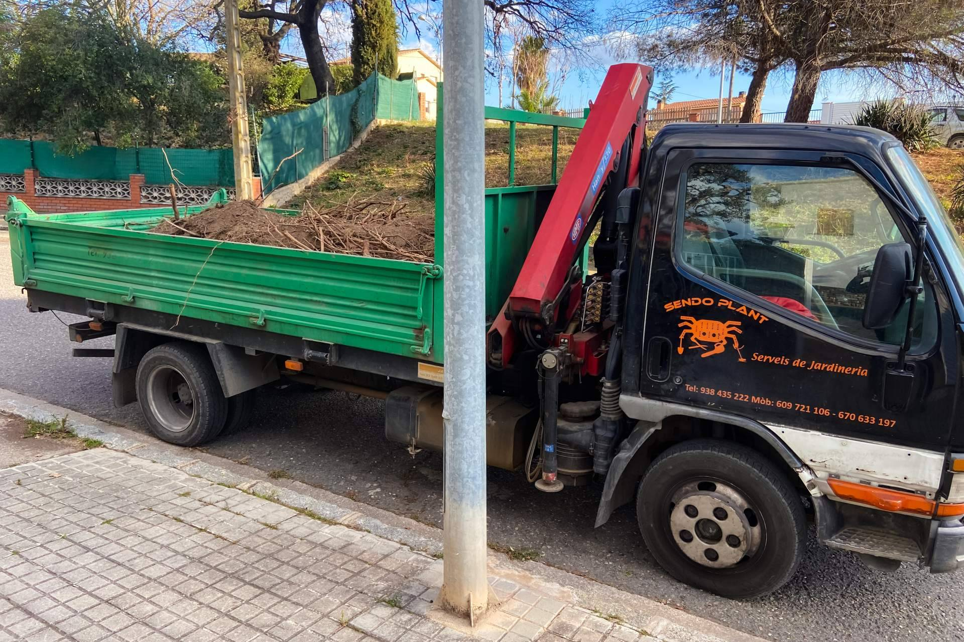 Cuando la naturaleza se diseña; la empresa de jardinería en Barcelona que está transformando espacios