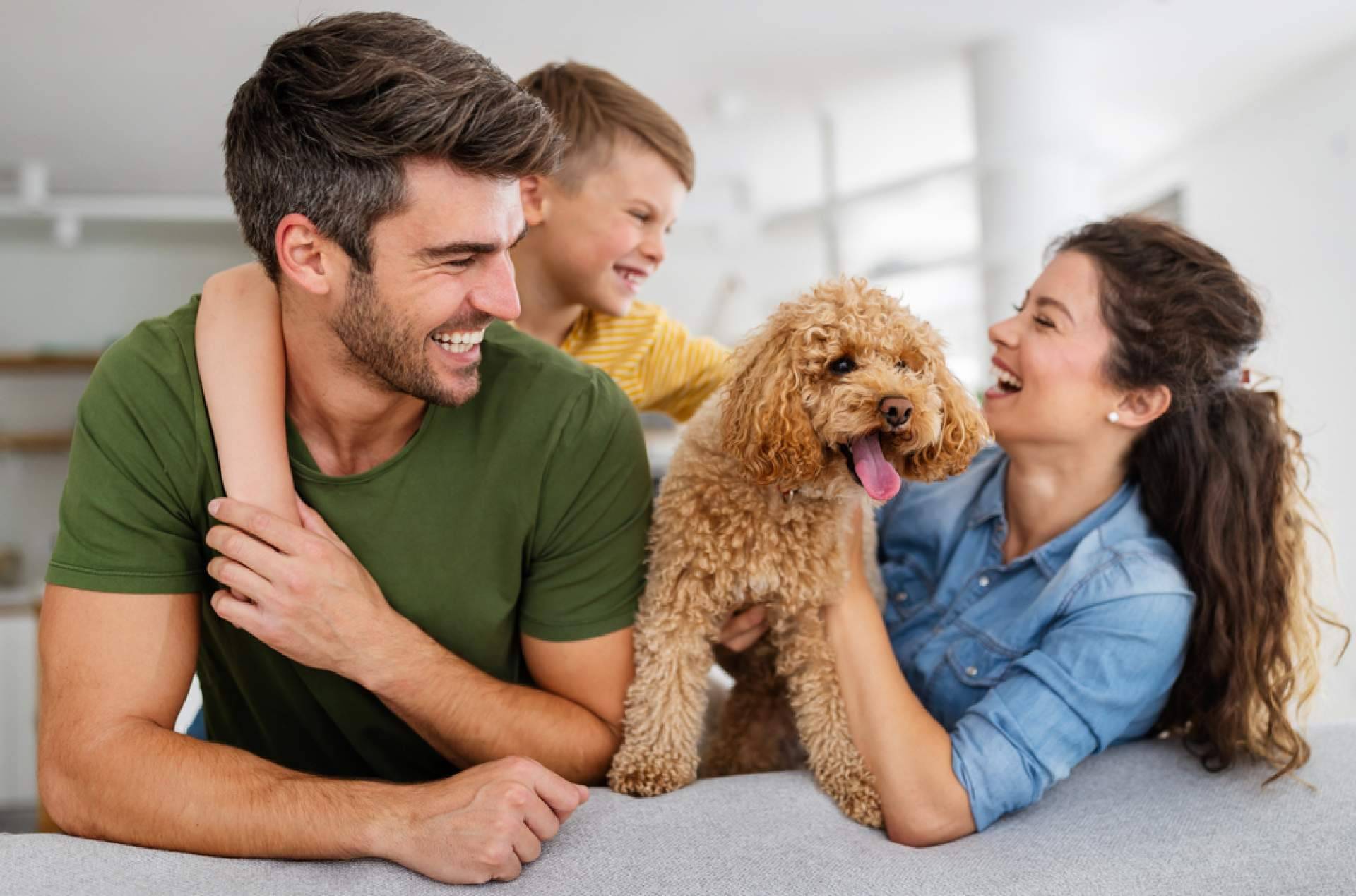 Productos virales de TikTok para hogar, cocina, belleza, mascotas y jardín; la propuesta de Zoovify