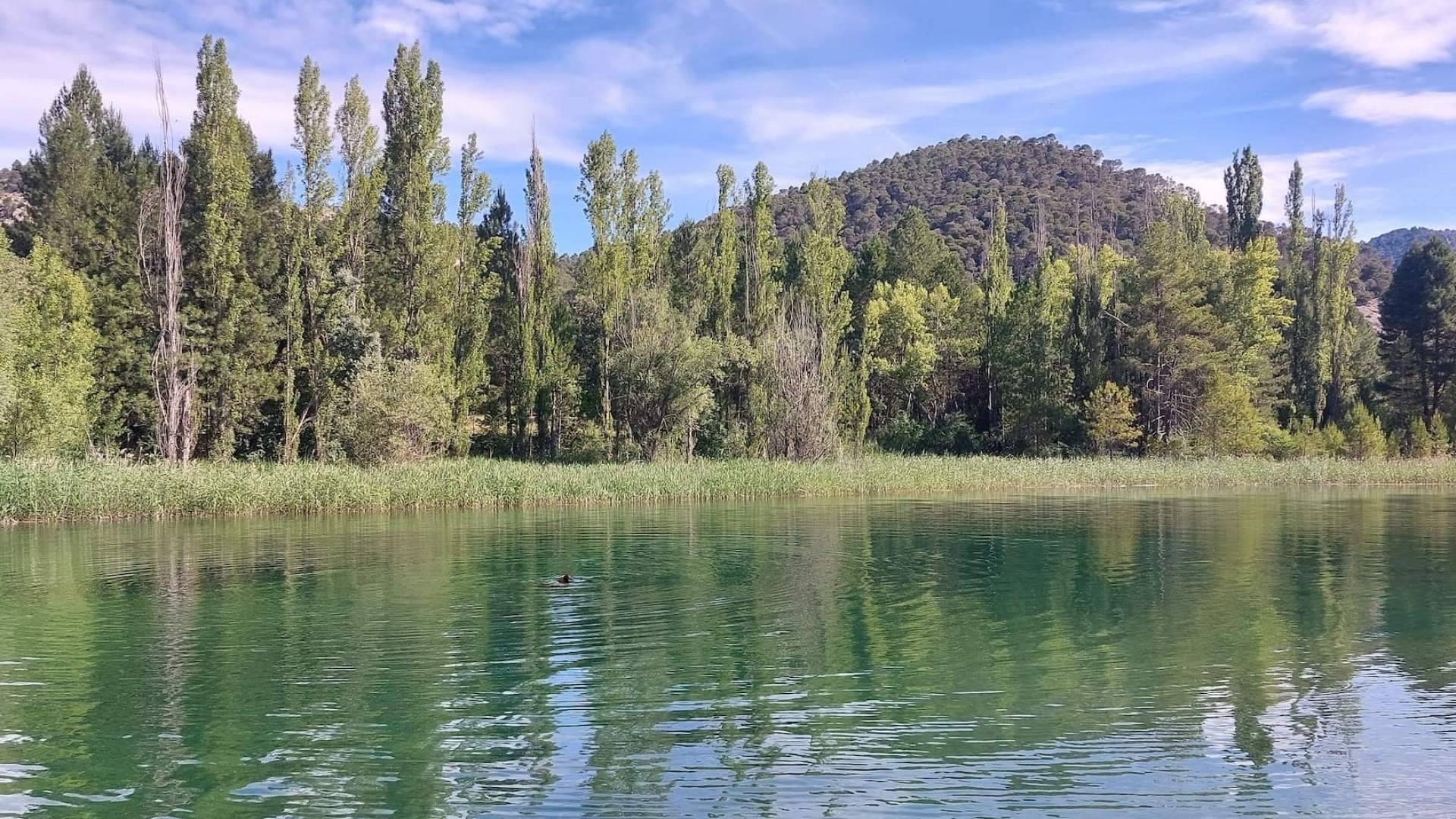 El secreto de la Serranía; la desconocida playa de interior de Cañamares