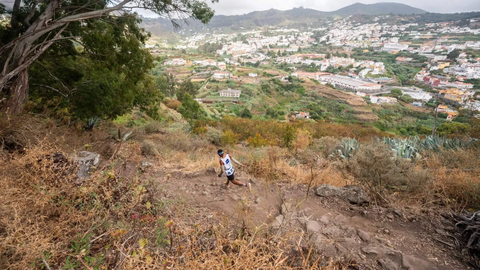 La XVI Aguas de Teror Trail renace tras el invierno con victoria de Nelson Alves y Yurena Castrillo